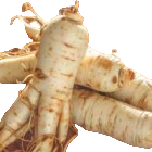 ginseng