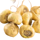 maca-root